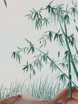   竹子