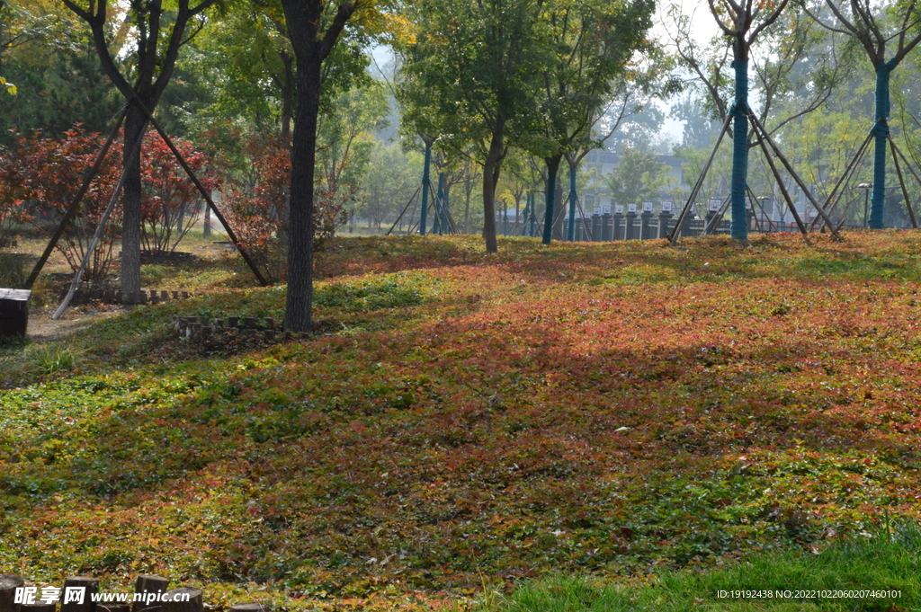 公园风景  