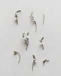 鲜花 