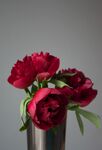 红色鲜花