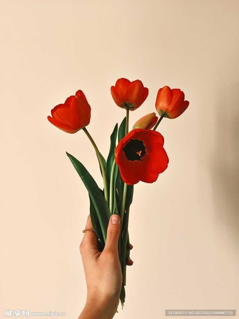 一把花