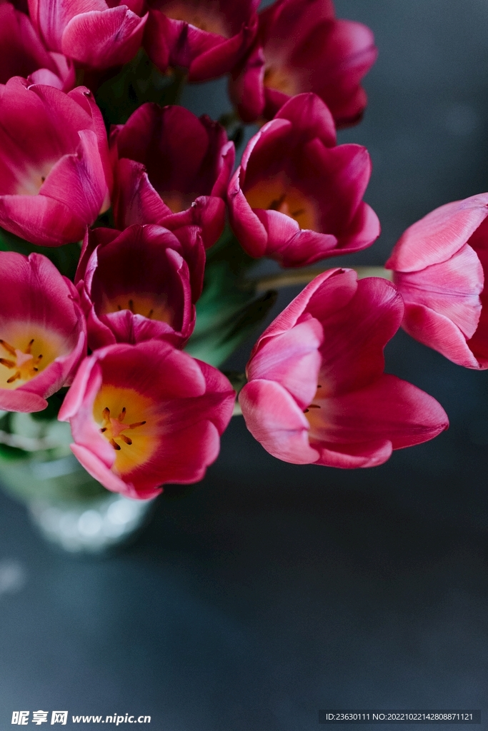 鲜花