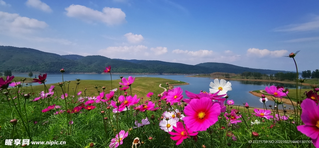 花海
