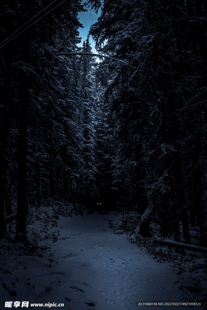 雪