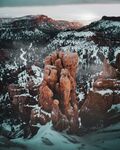 山