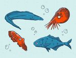 卡通海洋生物