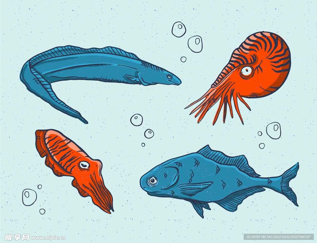 卡通海洋生物
