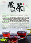 藏茶海报