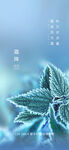 霜降海报