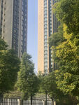建筑景观