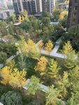 景观建筑园林