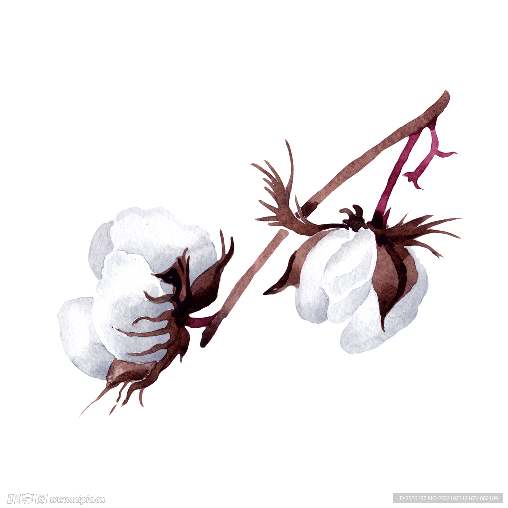 手绘花卉