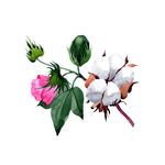 手绘花卉