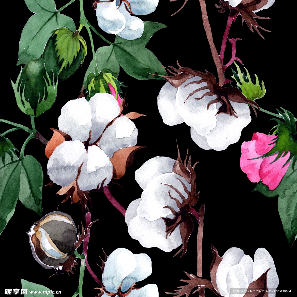 手绘花卉