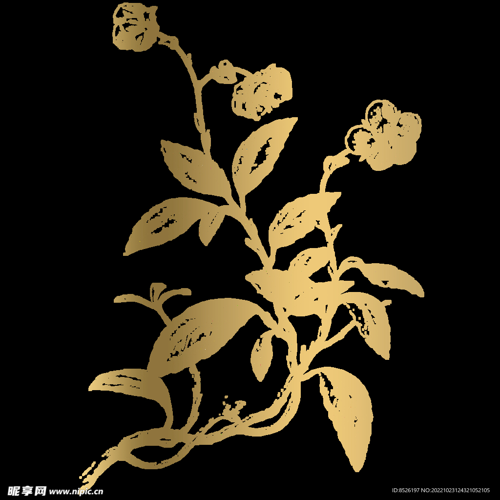 手绘花卉