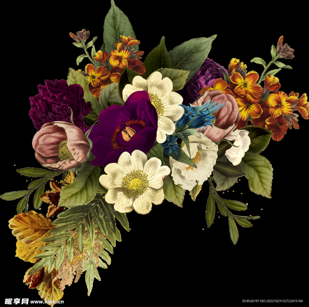 手绘花卉