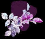 手绘花卉