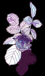 手绘花卉