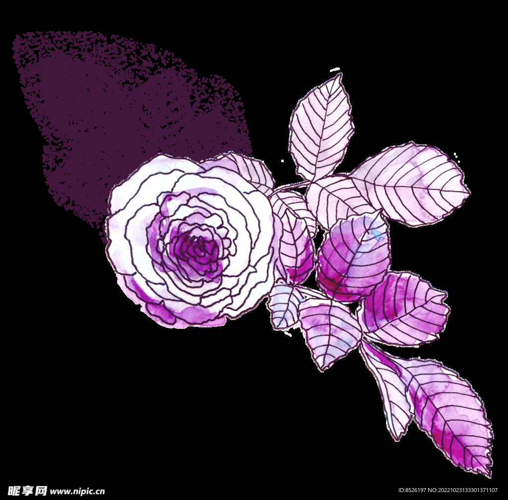 手绘花卉