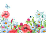 手绘花卉