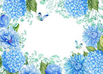 手绘花卉