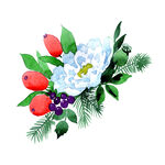 手绘花卉