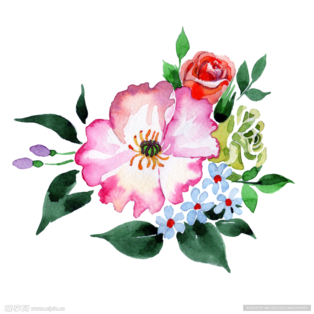 手绘花卉