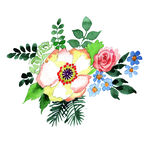 手绘花卉
