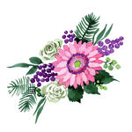 手绘花卉
