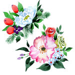 手绘花卉