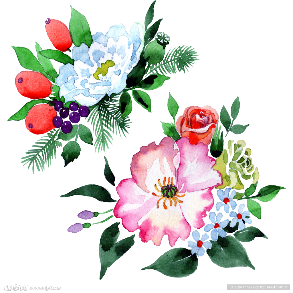 手绘花卉