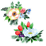 手绘花卉