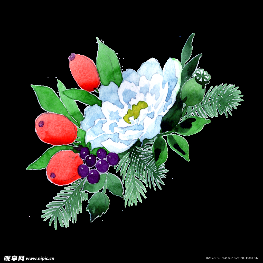 手绘花卉