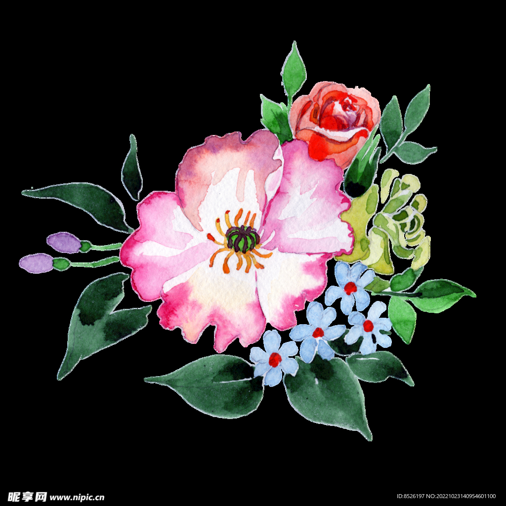 手绘花卉