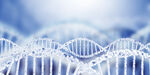  DNA分子医学高科技