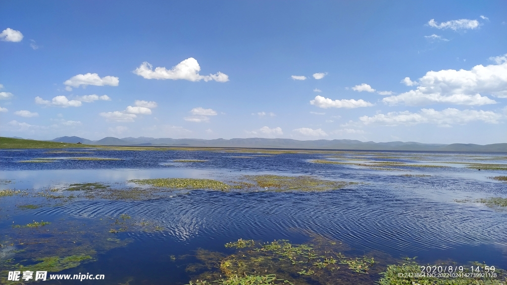 甘南美景 尕海