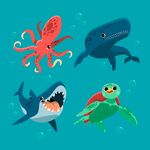 卡通海洋生物