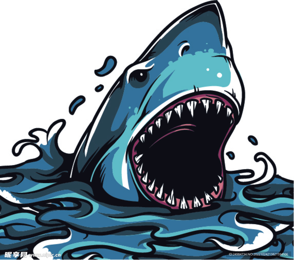 鲨鱼矢量素材插画