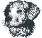 狗卡通矢量素材插画