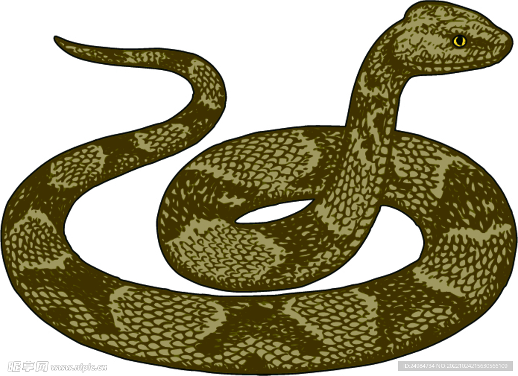 蛇卡通矢量素材插画图片