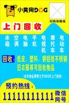 小黄狗