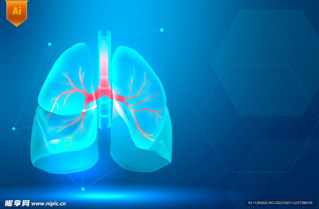透视科技肺部结构