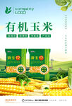 玉米海报