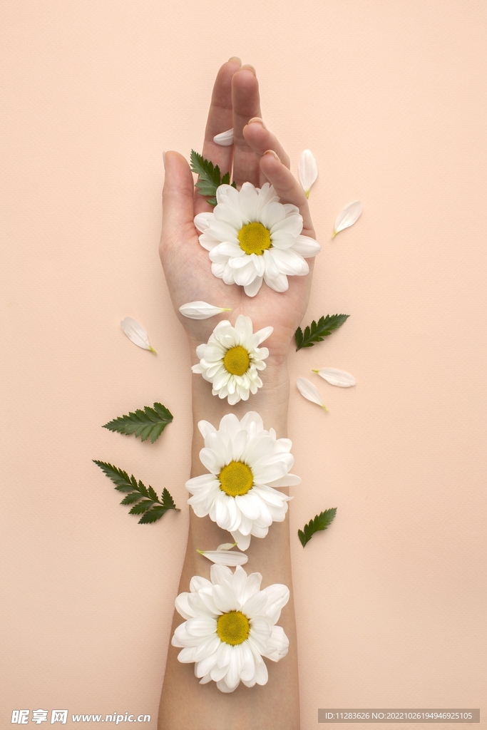 创意鲜花摄