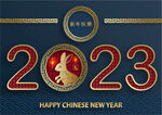 2023年兔年春节海报