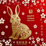 2023年兔年春节海报