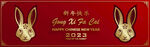 2023年兔年春节海报