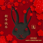 2023年兔年春节海报