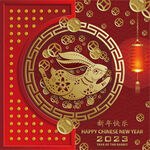 2023兔年春节海报插画