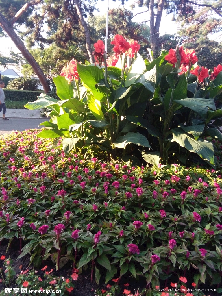 公园